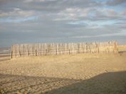 Beachlife  Cyell Zandvoort