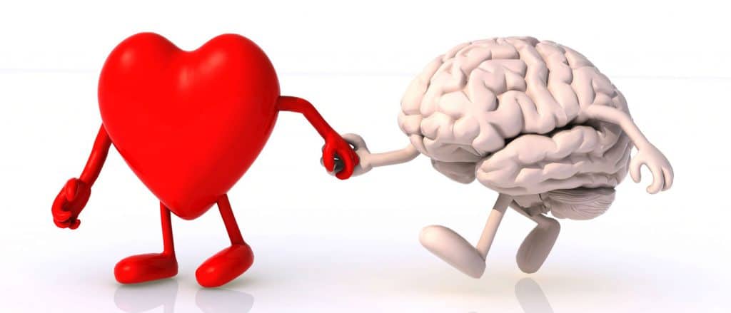 hart brein verbinding hartcoherentie 1024x439