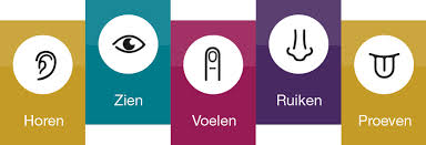 Prikkel de zintuigen