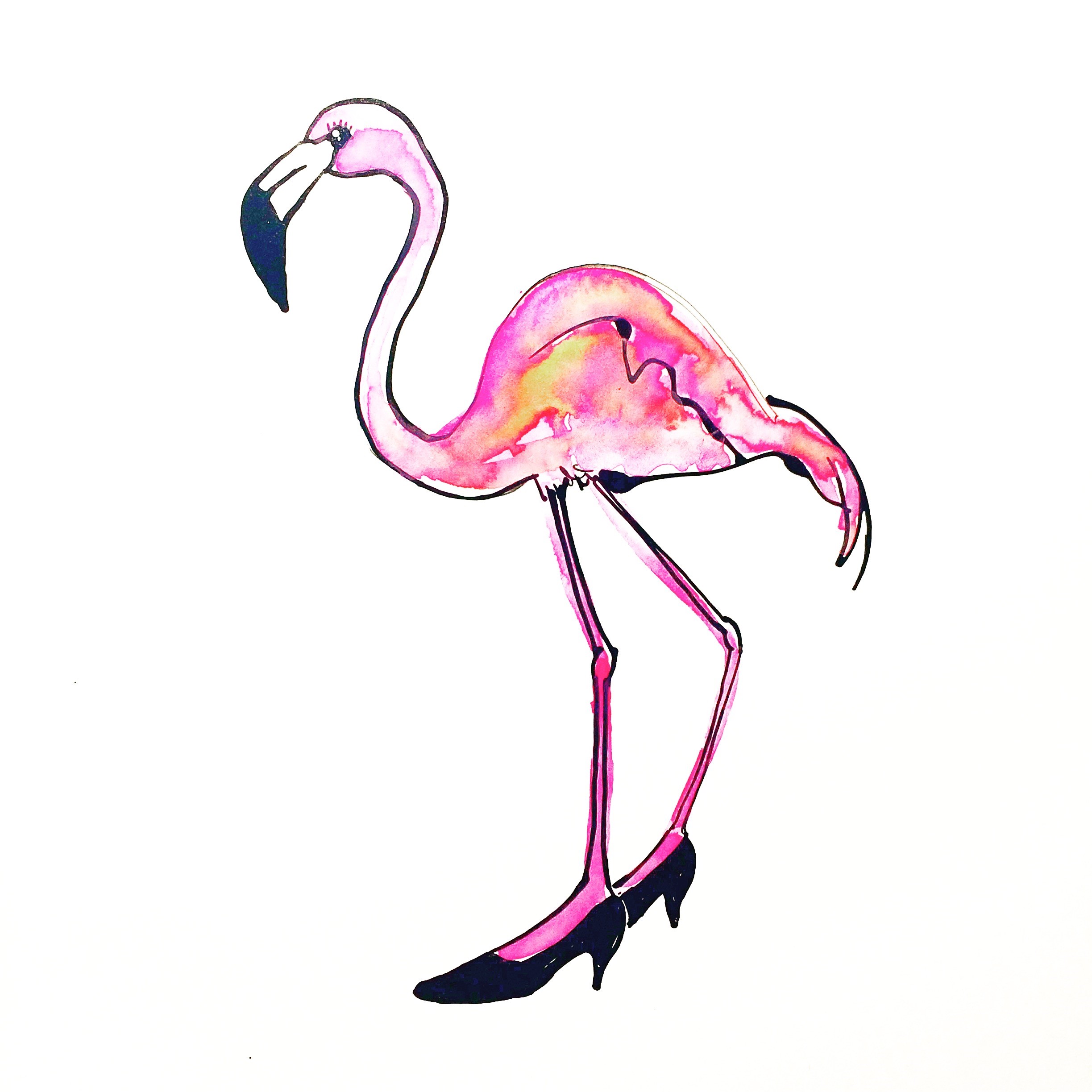 Tijgertigra Flamingo